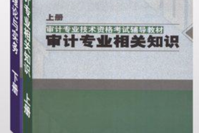 審計專業技術資格考試輔導教材（上下）