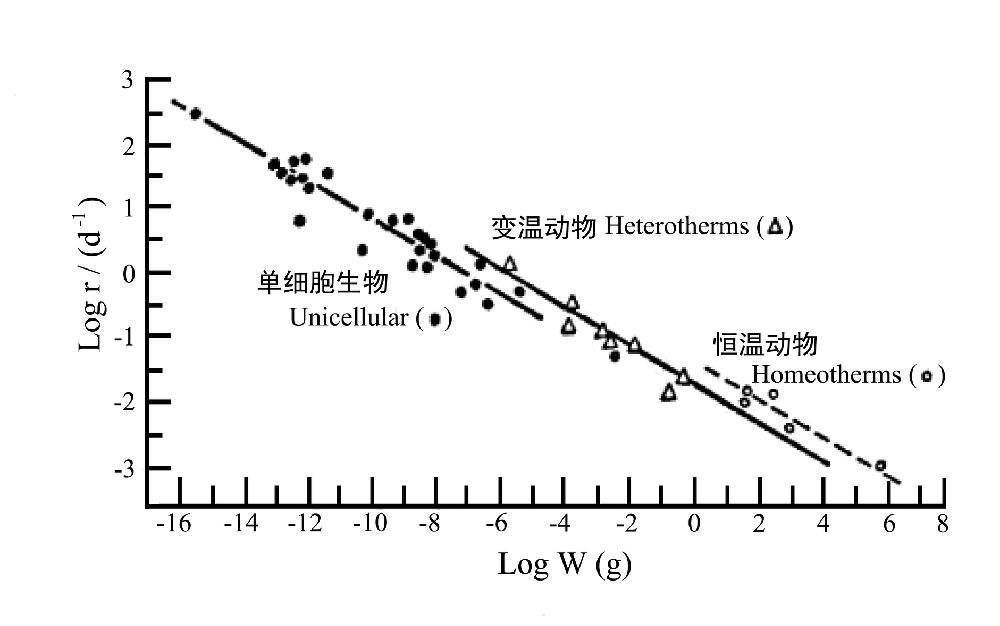 內稟增長率