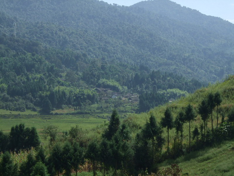 麻傈山自然村