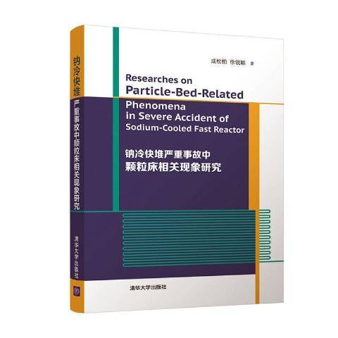 鈉冷快堆嚴重事故中顆粒床相關現象研究