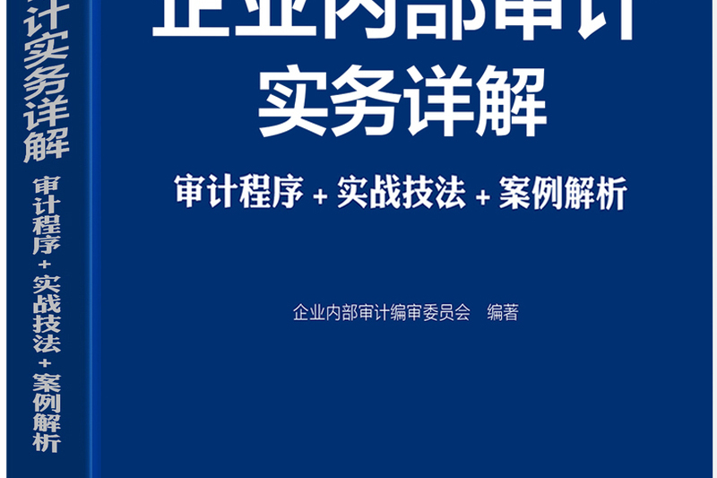 企業內部審計實務詳解審計程式實戰技法案例解析