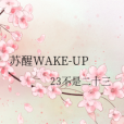 甦醒WAKE-UP