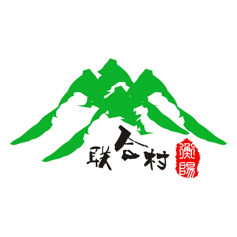 聯合村(湖南省祁東縣河洲鎮聯合村)