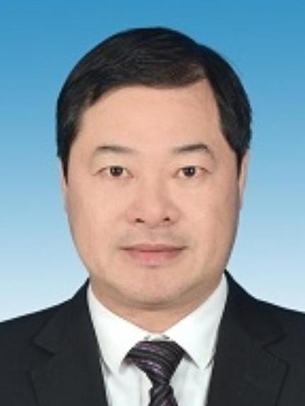 楊金平(浙江省平湖市人民政府原副市長)