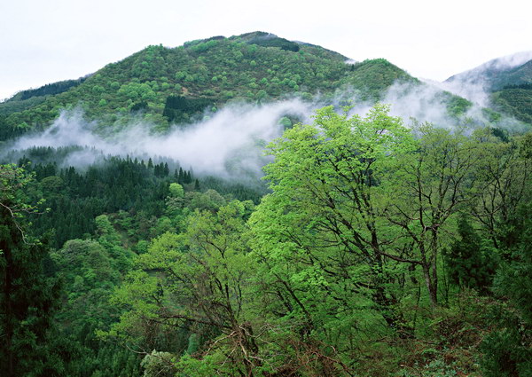 仙霞山