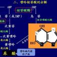 代謝拮抗物