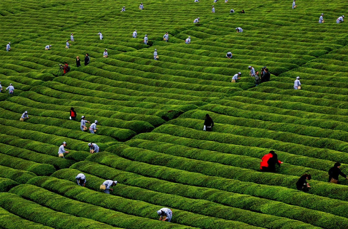 水口茶文化旅遊景區