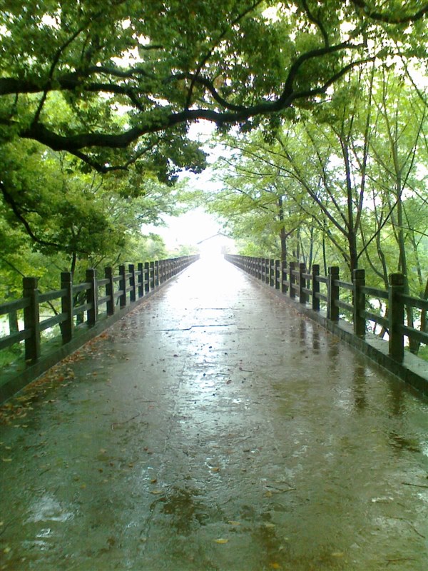 麻坑村(江西省撫州市樂安縣牛田鎮麻坑村)