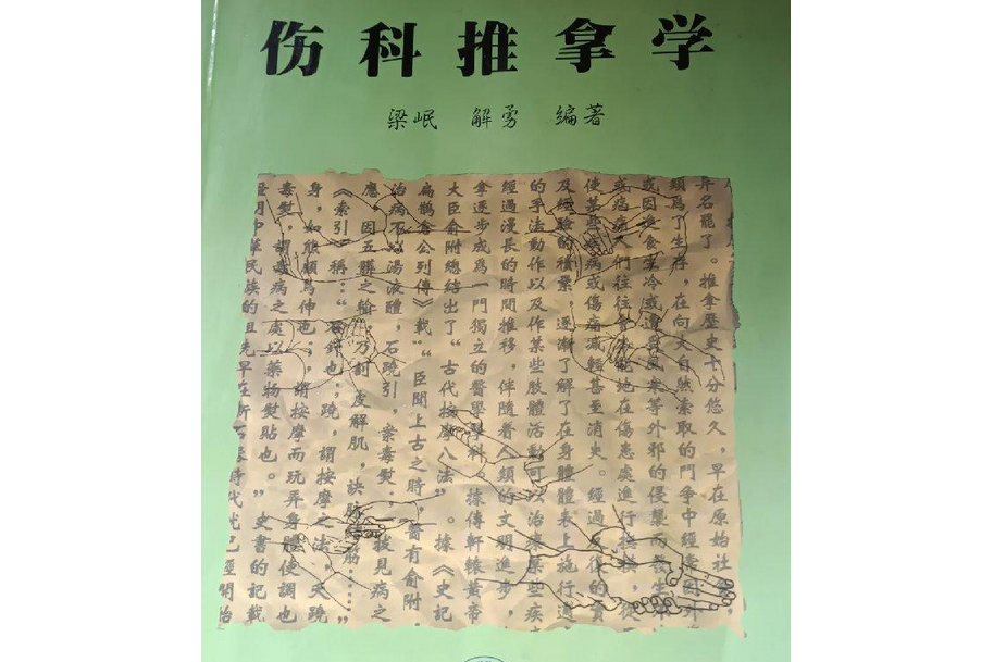 傷科推拿學(2001年四川科學技術出版社出版的圖書)