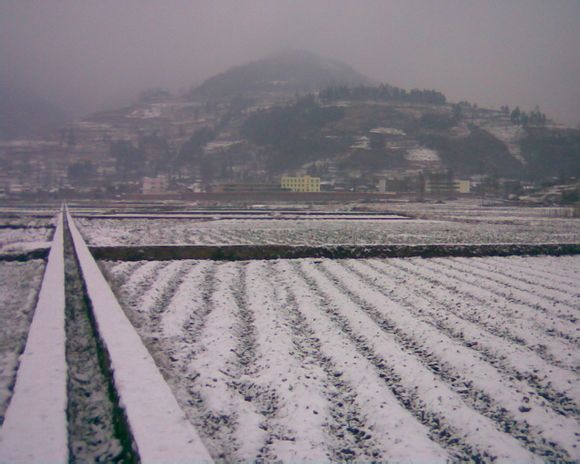 青場鎮