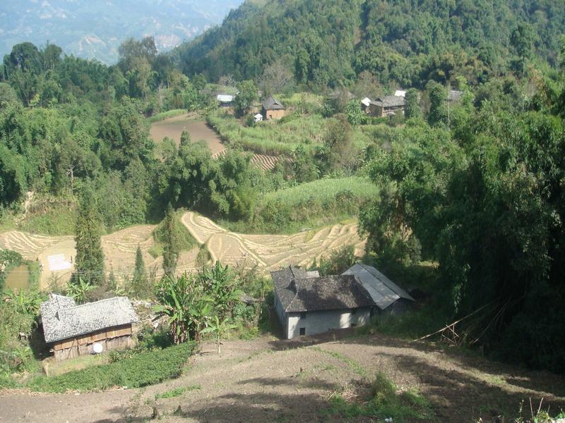 石板自然村(水田鄉香樹村委會下轄自然村)