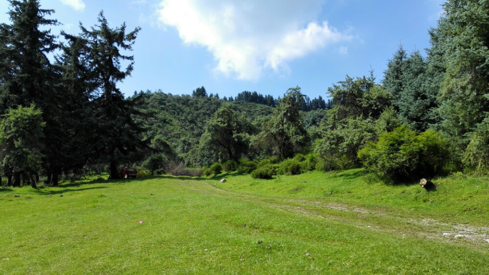 大通國家森林公園