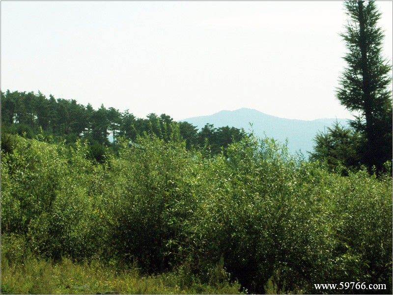 馬延鄉