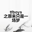 tfboys之原來只是一場夢