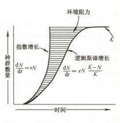 邏輯斯諦模型