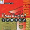 Visual Basic 6.0實效編程百例（附CD-ROM光碟一張）