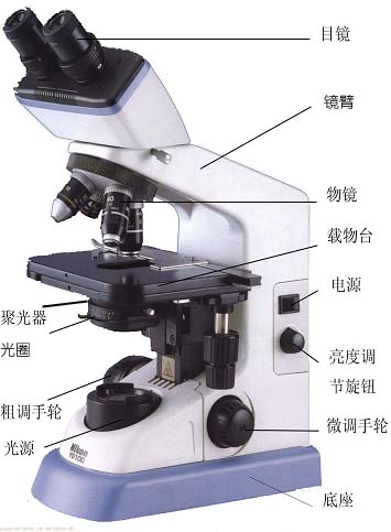 顯微鏡(科研儀器設備)