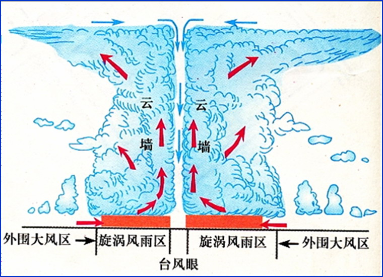 颱風結構