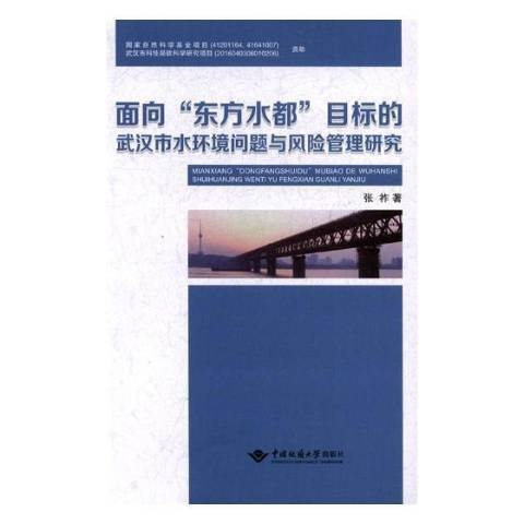 面向東方水都目標的武漢市水環境問題與風險管理研究