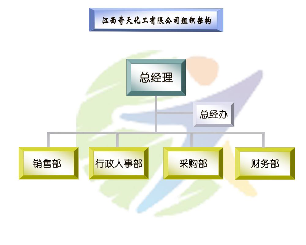 公司組織架構