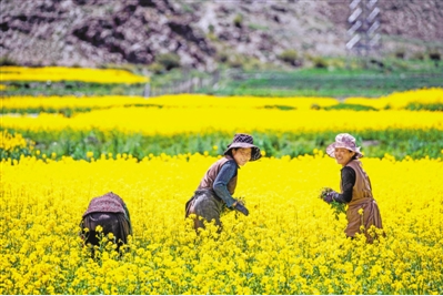 瓊嘎村