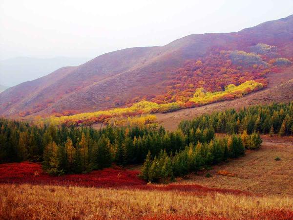 大冷山生態旅遊區