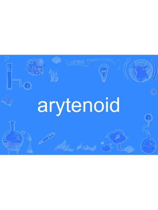 arytenoid