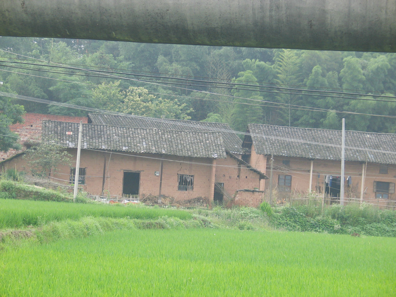 龍口鄉見樓村