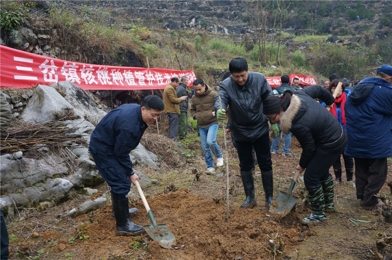 三岔鎮(廣西壯族自治區河池市宜州區三岔鎮)