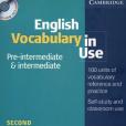 English Vocabulary in Use Pre-Intermediate and Intermediate Book and CD-ROM Pack