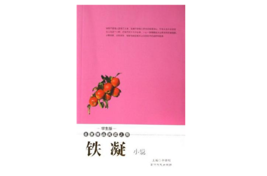 鐵凝小說