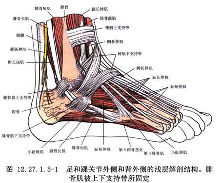 踝上內翻截骨術