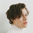 哈里·斯泰爾斯(Harry Styles)