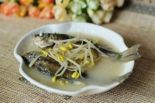 豆芽燉鯽魚