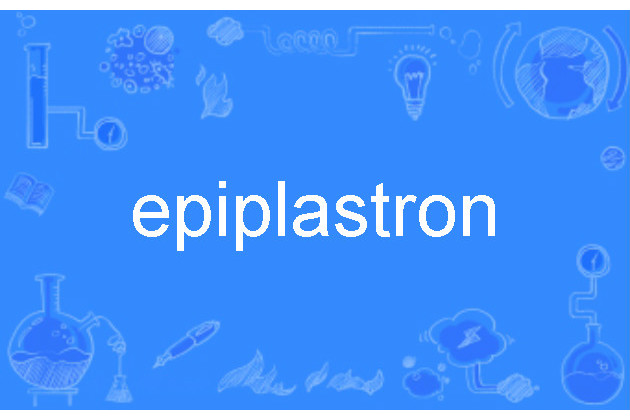 epiplastron