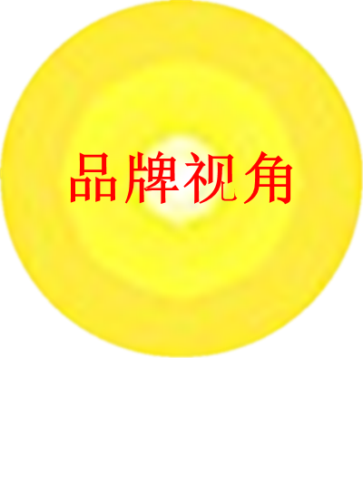 品牌視角LOGO