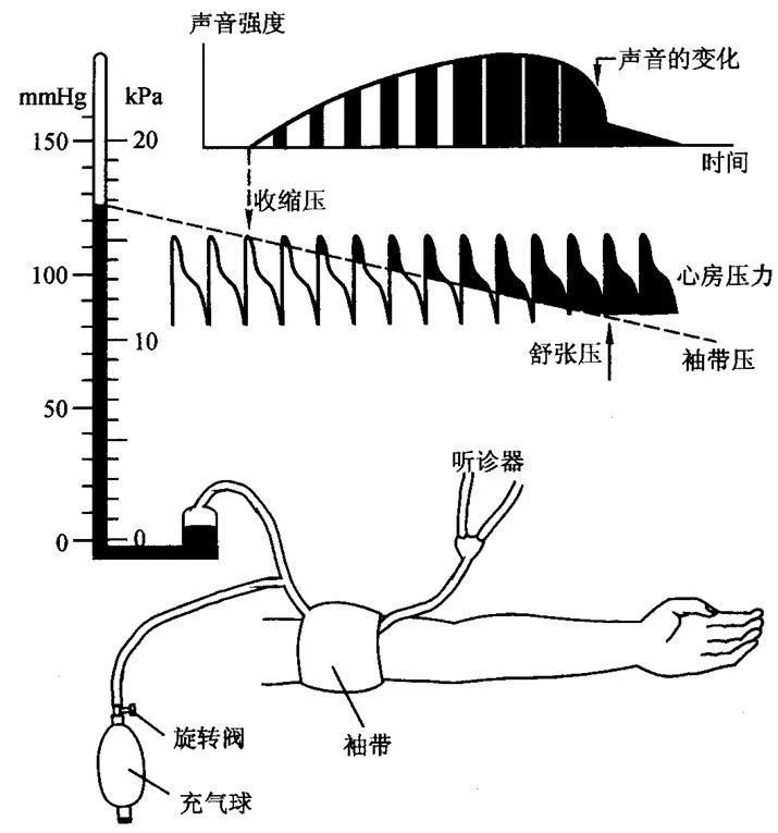 漢王柯氏音法電子血壓計