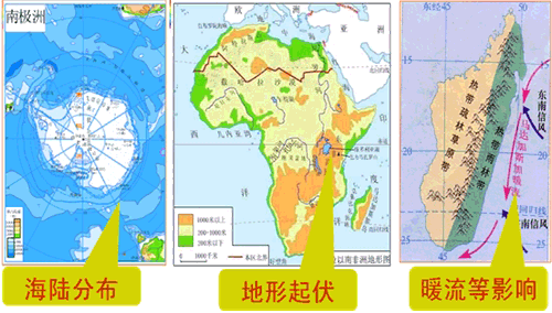 非地帶性現象分布及影響因素