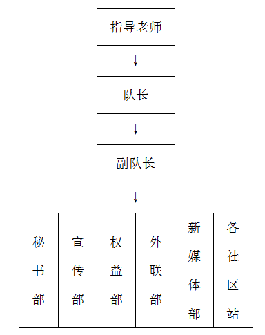 團隊組織架構