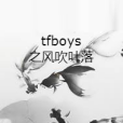 tfboys之風吹葉落