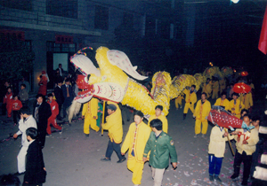 蘆溪古城獨角縮龍表演