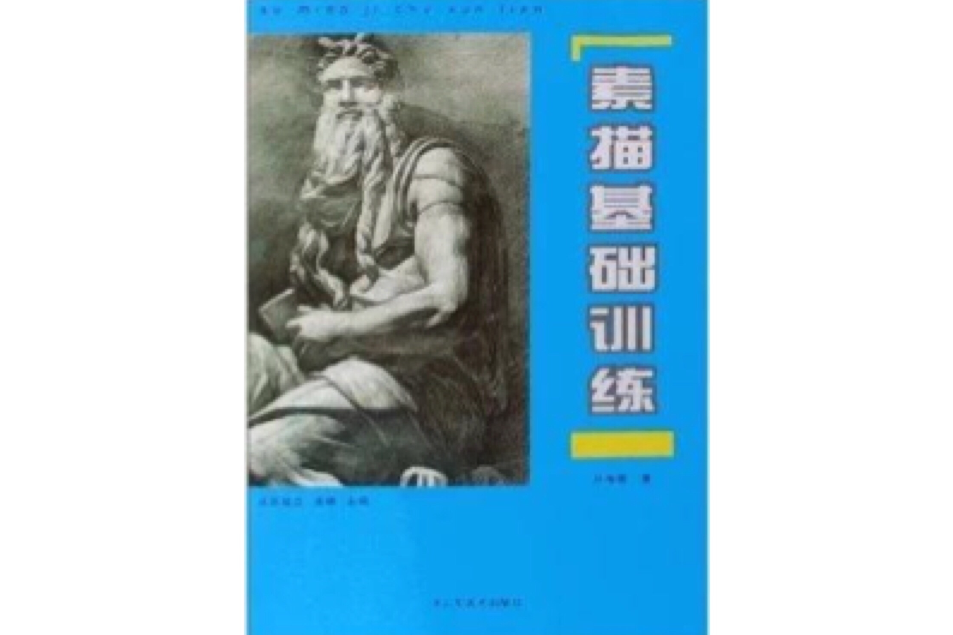 素描基礎訓練(2006年山東美術出版社出版的圖書)