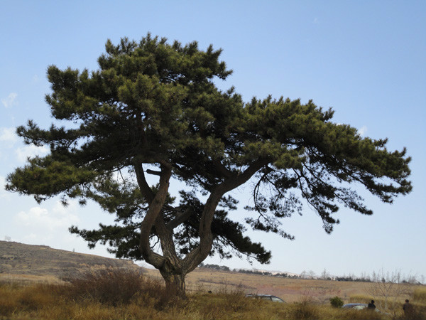 東二道河村(北京市延慶縣大莊科鄉下轄村)