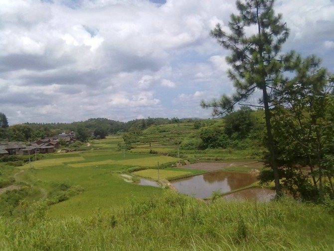 橋塘村(江西贛州市周田鎮下轄村)