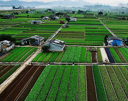 湖南省城鎮蔬菜基地管理條例