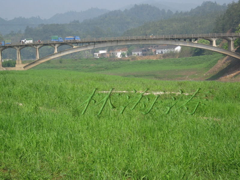 過埠大橋