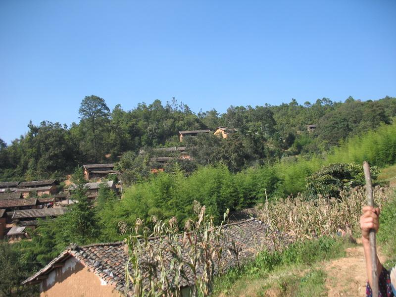 丫口村(雲南省文山州硯山縣者臘鄉丫口村)