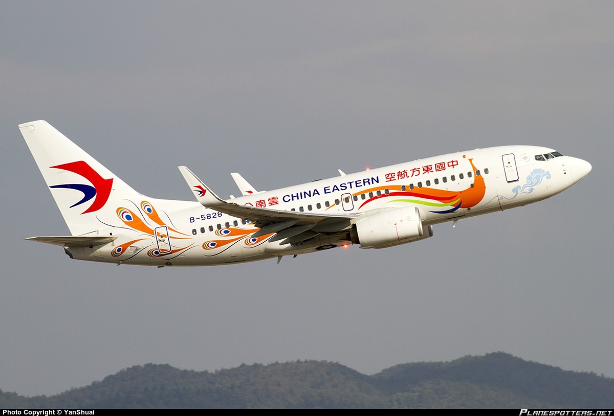 東航雲南B737-700（橙孔雀彩繪）客機