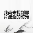 我尚未找到那片流逝的時光