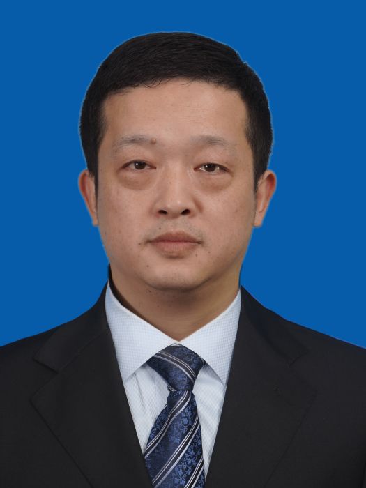 王東(四川省雅安市統計局黨組成員，副局長)